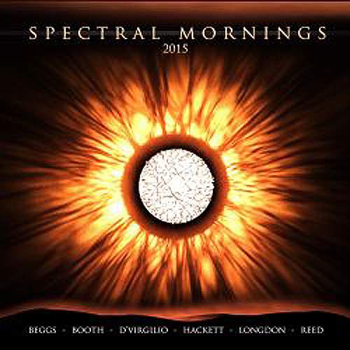 VARIOUS ARTISTS - Spectral Mornings (2015)