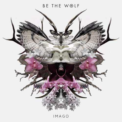 BE THE WOLF - Imago 