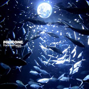 MIDRONE – Foreverness Revisited